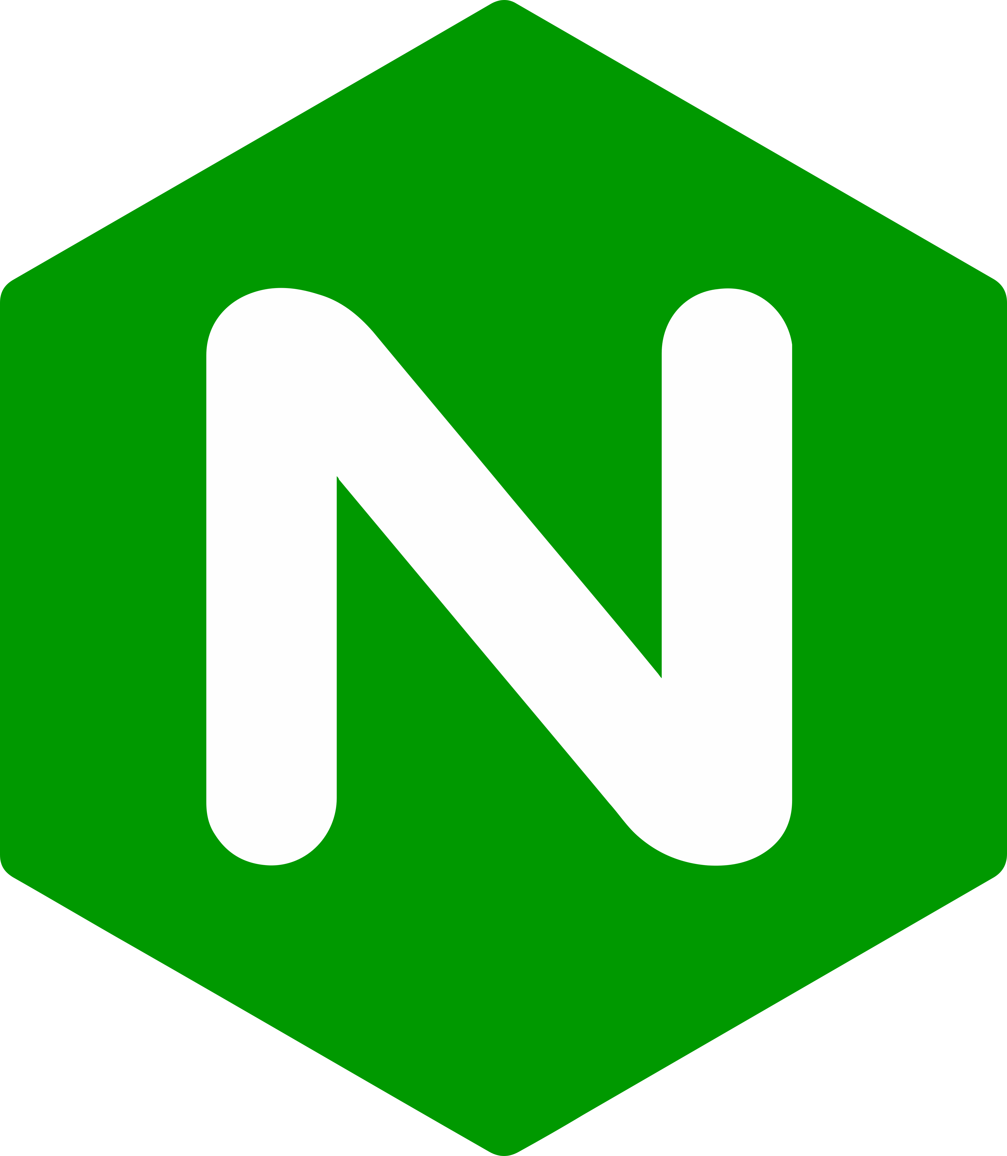 NGINX Configuration Language Support